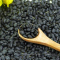 ALIBABA USED EXCLUSIVELY Small Black Beans (GF4)